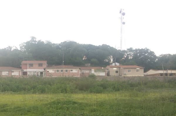 Enfermera muere a causa de Covid-19