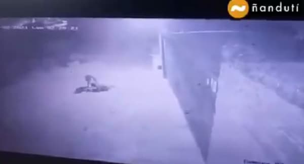 Hombre sufre descarga al intentar robar conductor de la ANDE de 23.000 voltios