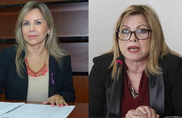 Ministra decidió reconocer labor de Abdo Benítez, según exviceministra