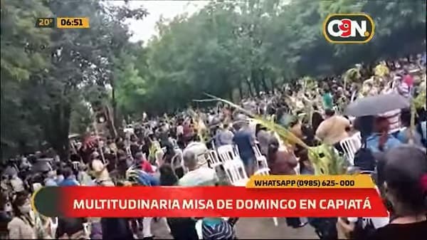 Importante aglomeración en jornada de bendición de palmas