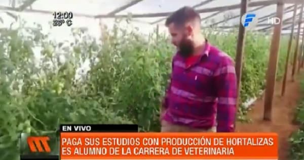 Joven paga sus estudios sembrando hortalizas en Misiones