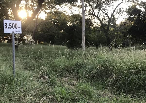Fiscalía interviene ante denuncia de abuso sexual en el Botánico