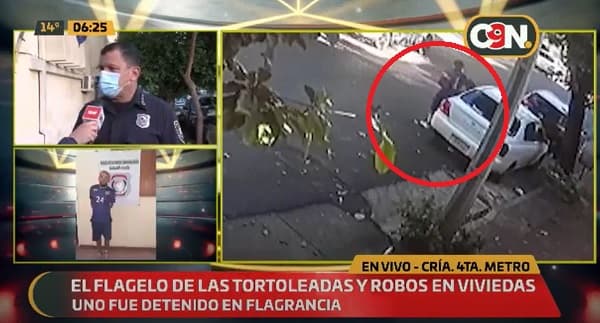 Detienen a “tortolero” el pleno intento de robo