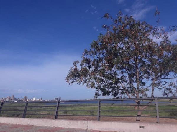 Meteorología pronostica domingo cálido a caluroso