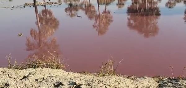 Fiscalía acude a curtiembre tras denuncia de cauce teñido de rojo