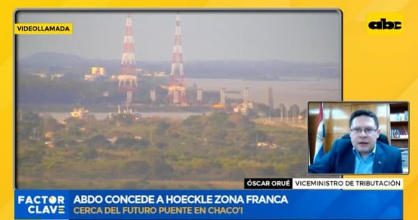 Viceministro justifica concesión a exasesor de Abdo Benítez