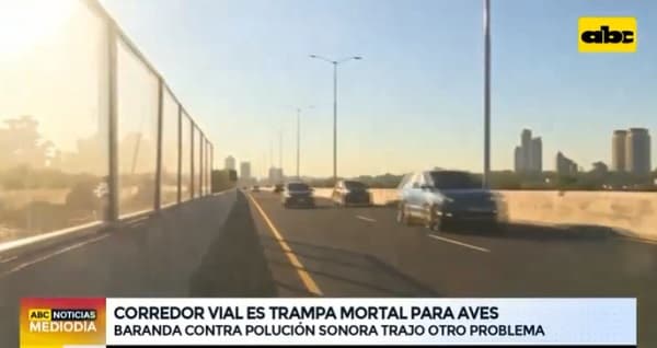 Barreras del Corredor Vial Botánico resultan fatales para aves, afirman