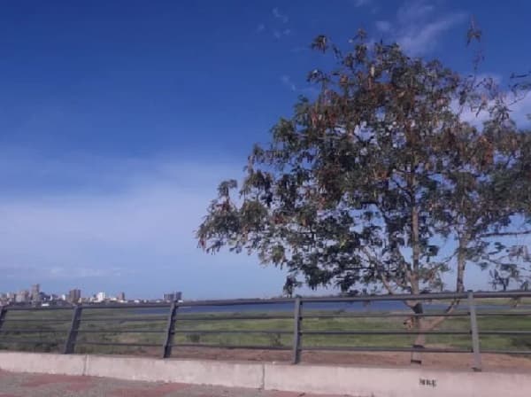 Meteorología anuncia un miércoles caluroso y sin lluvias