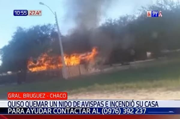 Mujer incendia su casa intentando quemar un avispero
