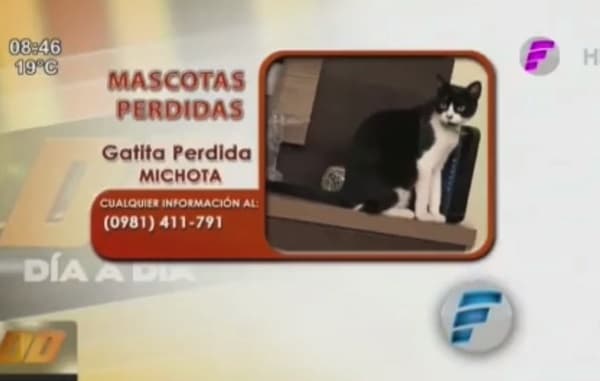 María Teresa y “la gatita perdida” se hacen virales