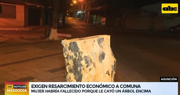 Comuna afirma desconocer muerte de mujer a causa de caída de árbol