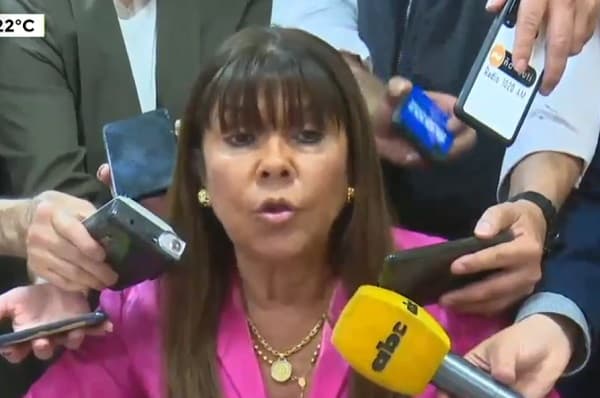 Diputados opositores cierran filas contra expulsión de Celeste Amarilla