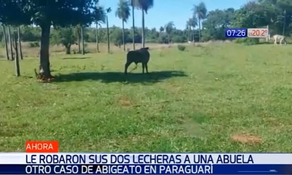 Anciana lamenta el robo de sus lecheras en Paraguarí