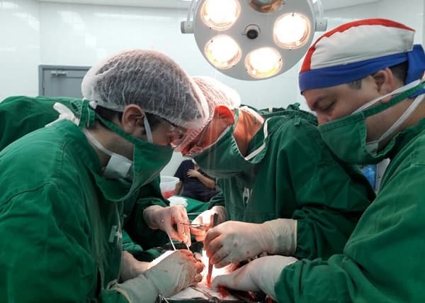 Trasplantes registraron un repunte este 2021, según el INAT