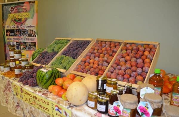 Invitan a la Expo Frutas en La Colmena