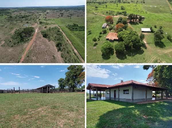 Senabico subastará terrenos, vehículos y una estancia