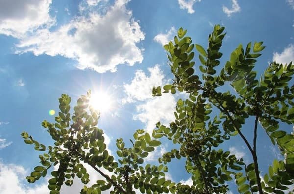 Se prevé un martes caluroso y sin lluvias, según Meteorología