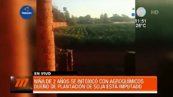 Imputan a dueño de sojal por intoxicación de niña de dos años