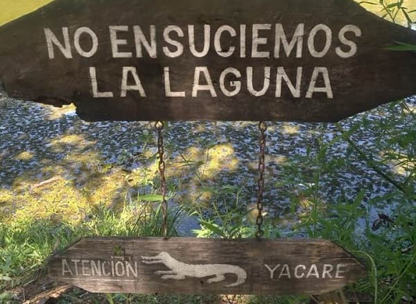 Zona de yacarés fue invadida, afirma Llorens sobre sesión de fotos