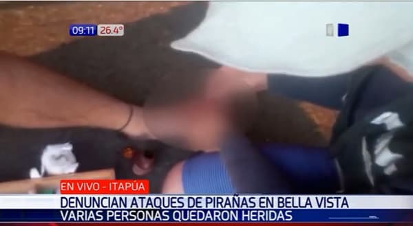 Reportan ataque de pirañas en playa de Bella Vista