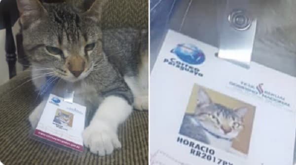 Horacio Cartas, el “funcionario” de Correo que es sensación en redes