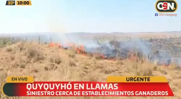 Reportan incendios forestales en Quyquyhó