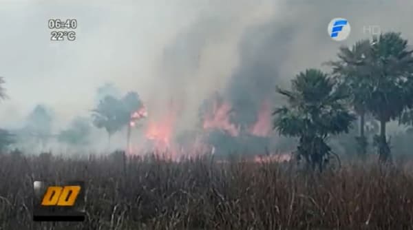 Piden conciencia para evitar ola de incendios forestales