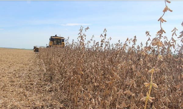Cambio climático: Paraguay pierde USD 500 millones al año por sequías