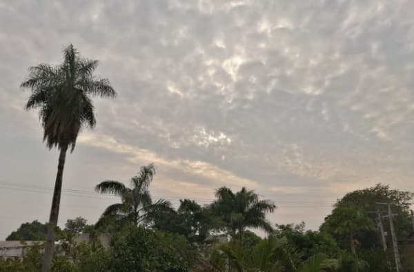 Anuncian domingo caluroso con vientos del sur