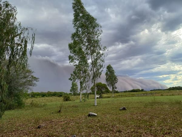 Humareda nuevamente se hace presente en el sur 