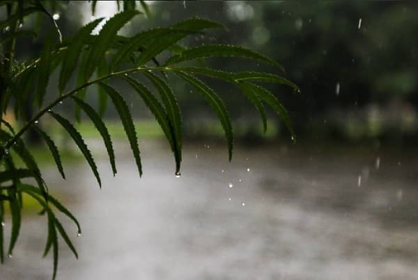 Pronostican lunes fresco e inestable