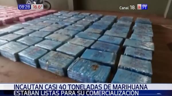 Hallan 40 toneladas de marihuana en campamento