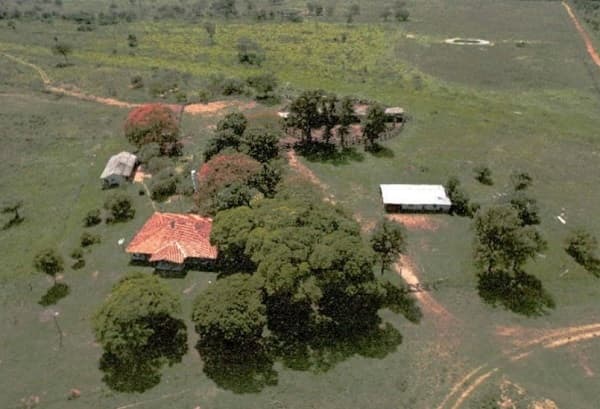 Senabico subasta ex “narcoestancia” por más de USD 1 millón 