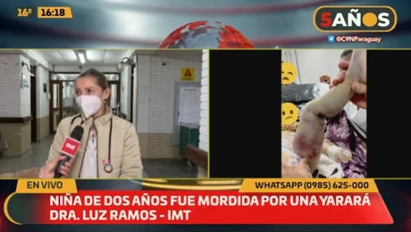 Niña que sufrió mordedura de yarará evoluciona favorablemente