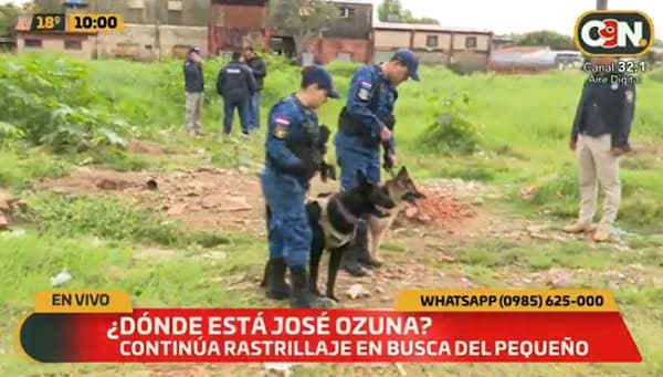 Ejecutan rastrillaje con canes en busca de niño desaparecido