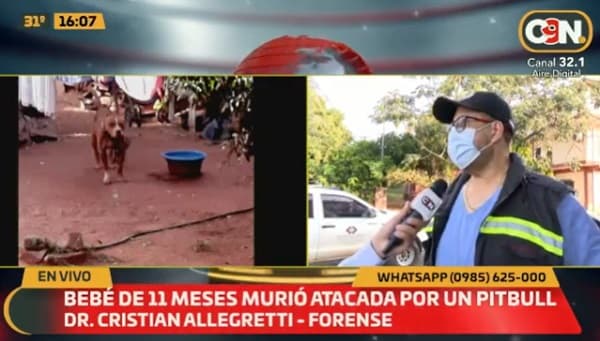 Bebé de 11 meses muere víctima del ataque de un pitbull