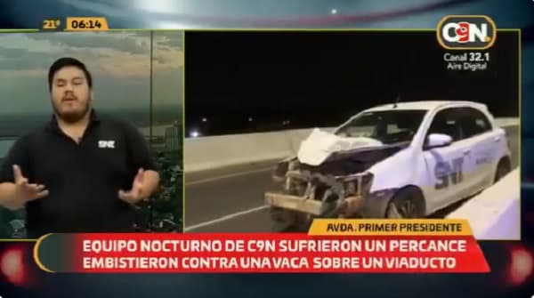 Móvil de prensa choca contra vaca en pleno viaducto