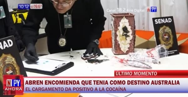 Incautan cocaína en el interior de florero en el Aeropuerto Silvio Pettirossi