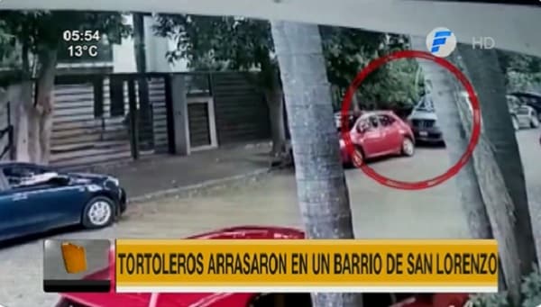 Robacoche y tortolero “trabajan” en equipo en San Lorenzo