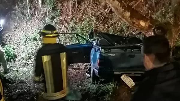 Conductor pierde la vida tras impactar contra árbol en Hernandarias