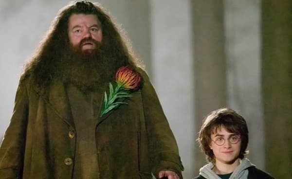 Muere Robbie Coltrane, recordado como Hagrid de Harry Potter