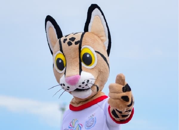 Advierten con acciones legales a quienes usan la imagen Tiríka sin permiso