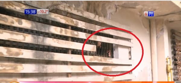 Confirman e identifican a los cuatro reos que se fugaron de Tacumbú