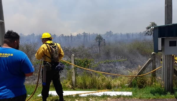 Incendio puso en peligro el peaje de la ruta Luque-San Ber, informan 