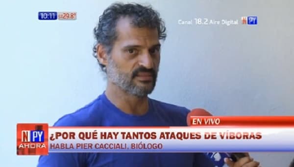 Biólogo revela el porqué del aumento de las mordeduras de serpientes