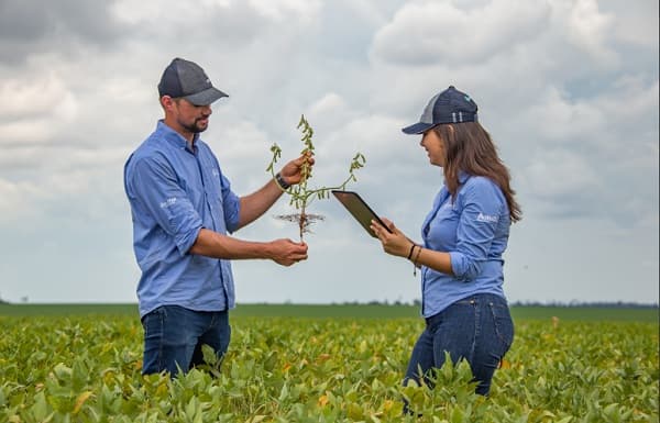 Empresa del sector agrícula obtiene la certificación sobre igualdad de género