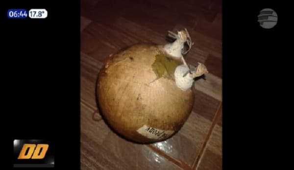 Niños hallan “explosivo” dentro de una pelota en Encarnación