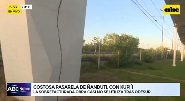 Termitas infestan la costosa pasarela de “ñandutí”