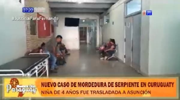 Niña de cuatro sufre mordedura de serpiente y ya suman 10 casos en Curuguaty