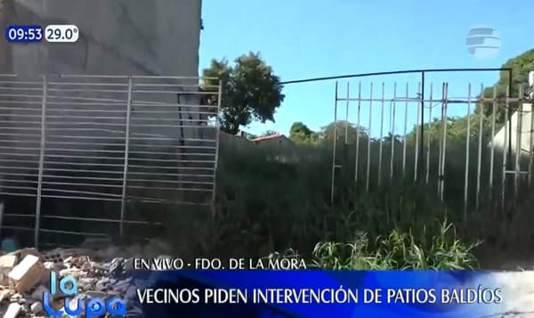 Baldíos generan preocupación por proliferación de mosquitos 